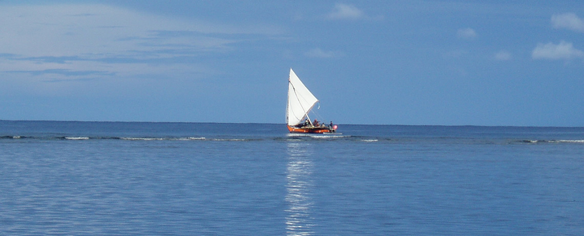 Aloha from Fanapi Foundation